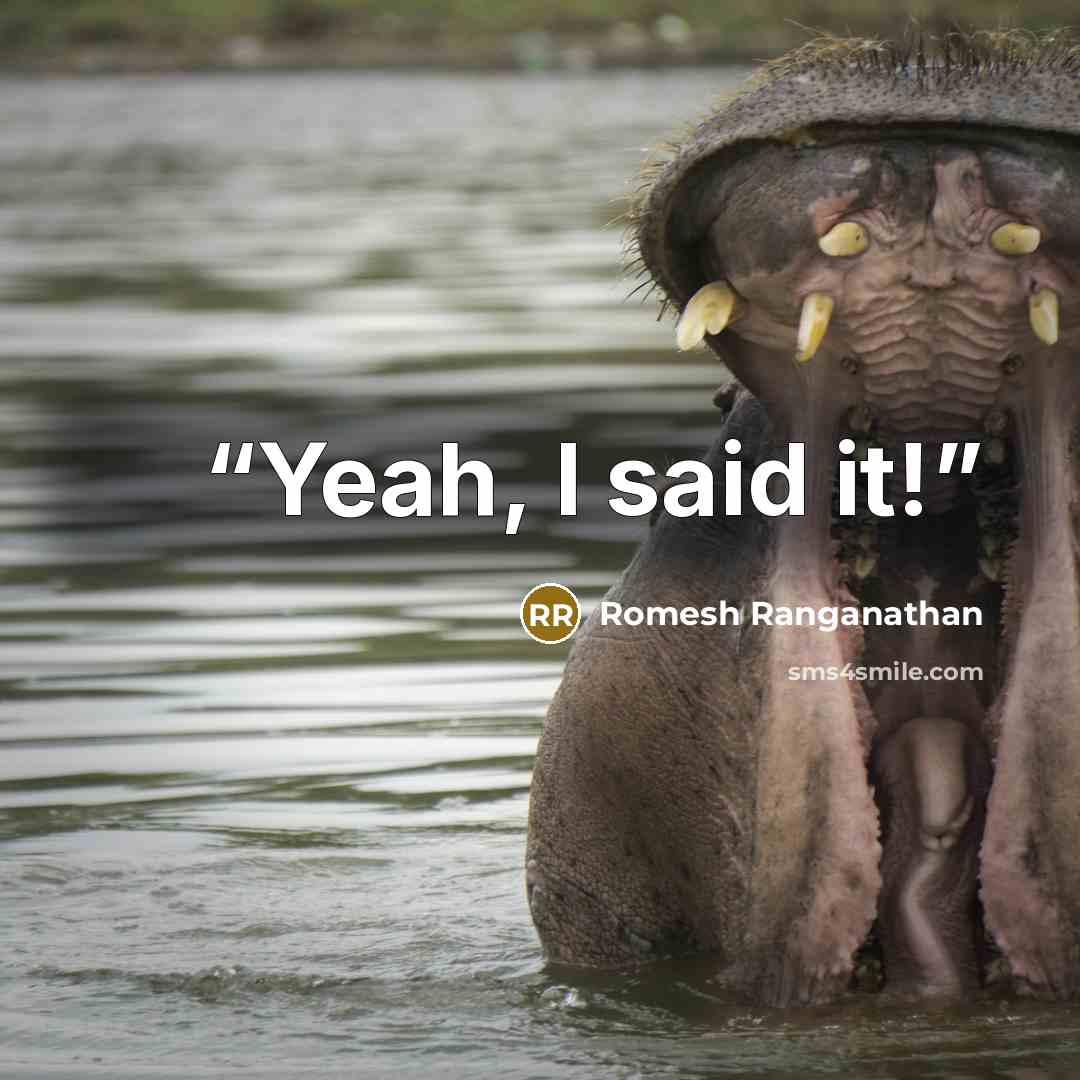 “Yeah, I said it!” quote by Romesh Ranganathan