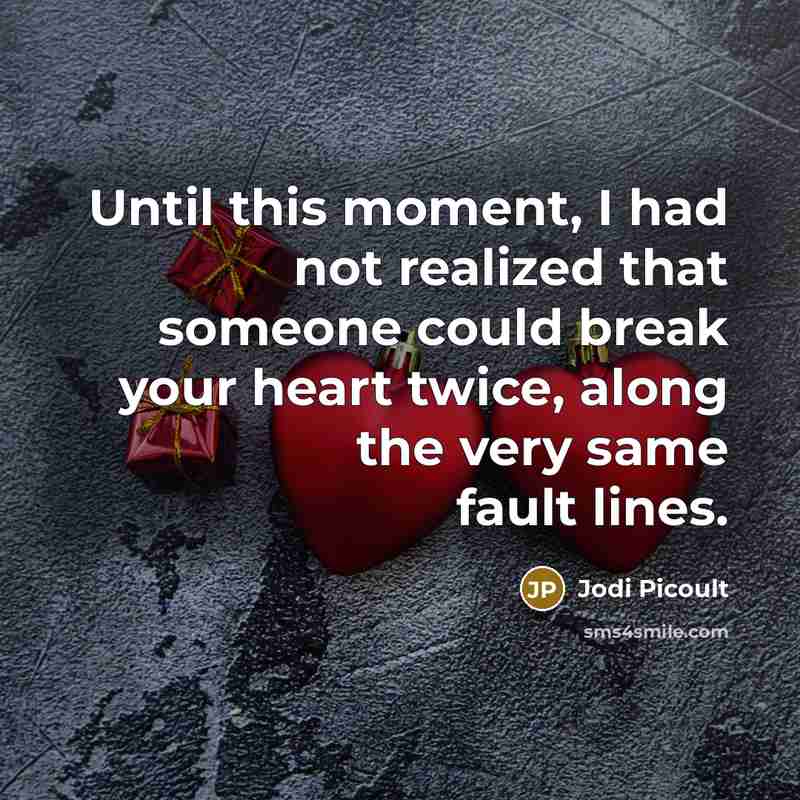 “Until this moment, I had not realized that someone could break your heart twice, along the very same fault lines.” quote by Jodi Picoult