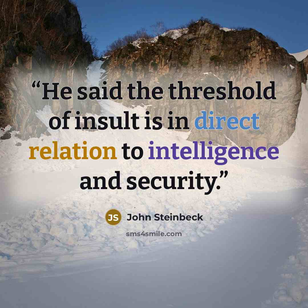 “He said the threshold of insult is in direct relation to intelligence and security.” quote by John Steinbeck