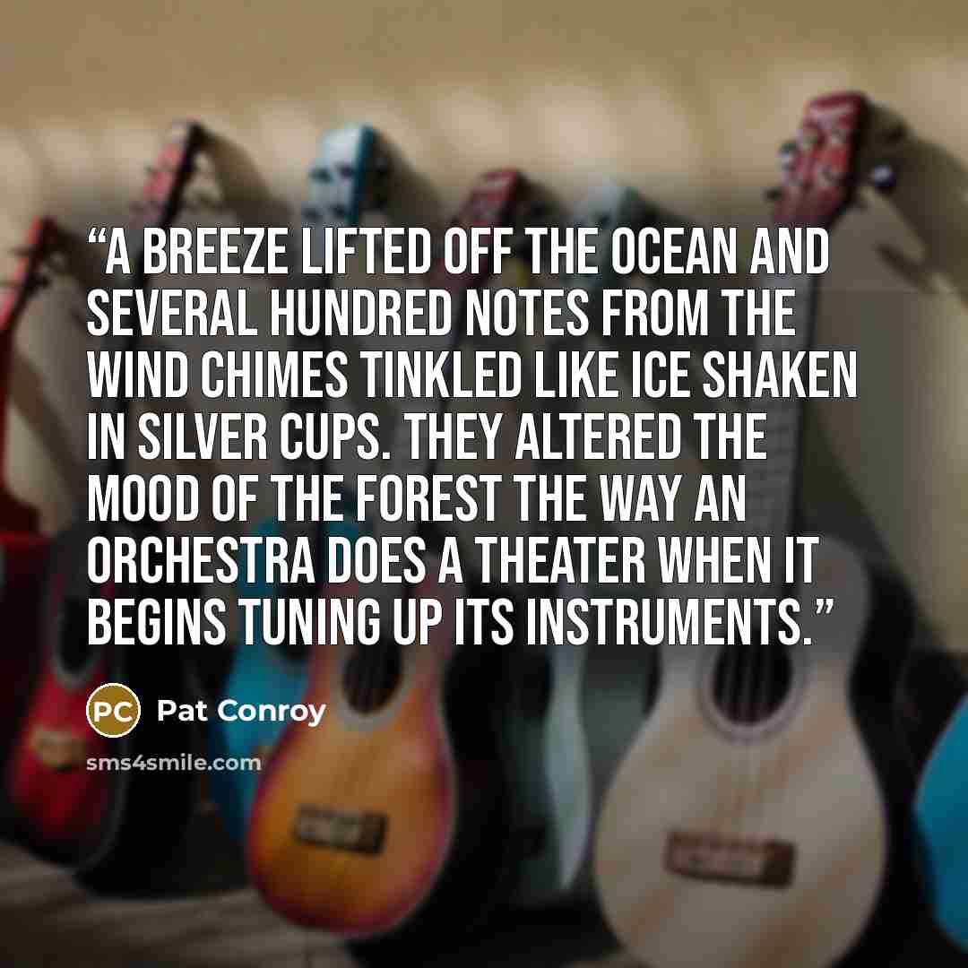 “A breeze lifted off the ocean and several hundred notes from the wind chimes tinkled like ice shaken in silver cups. They altered the mood of the forest the way an orchestra does a theater when it begins tuning up its instruments.” quote by Pat Conroy