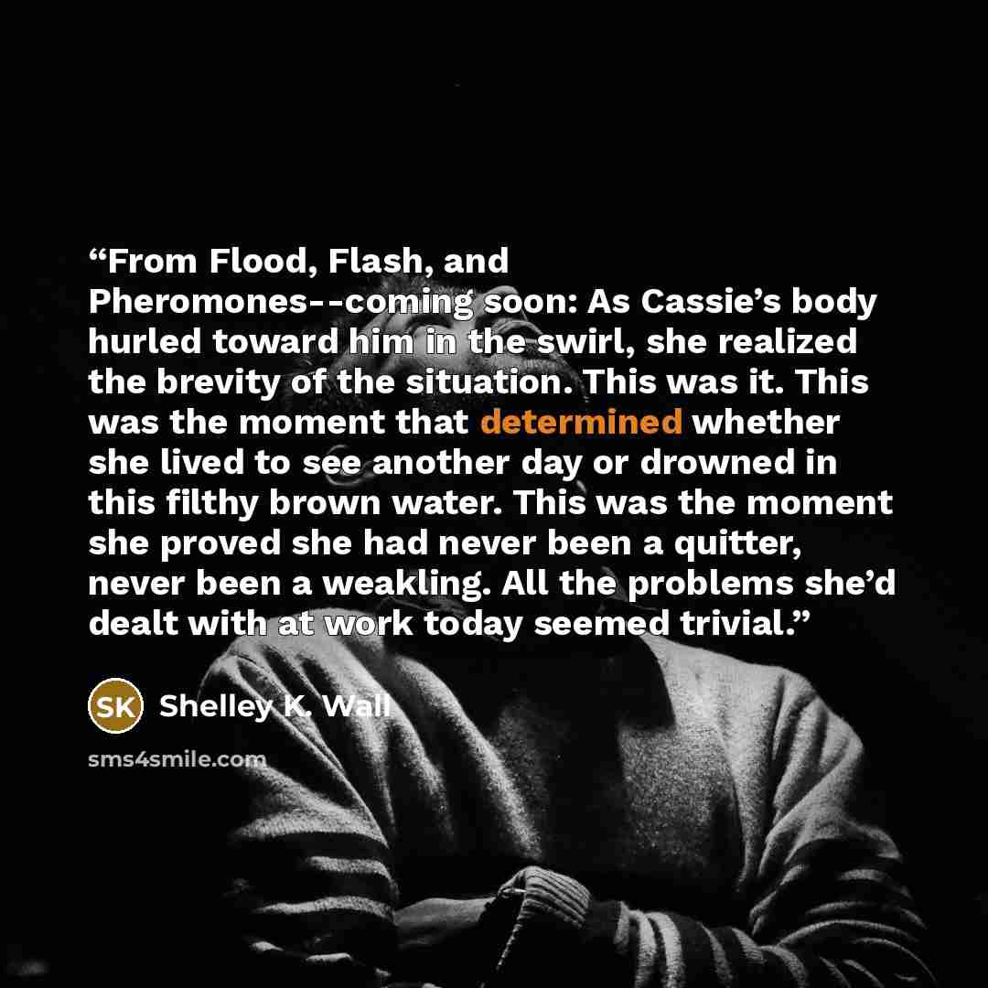 “From Flood, Flash, and Pheromones--coming soon: As Cassie’s body hurled toward him in the swirl, she realized the brevity of the situation. This was it. This was the moment that determined whether she lived to see another day or drowned in this filthy brown water. This was the moment she proved…” quote by Shelley K. Wall