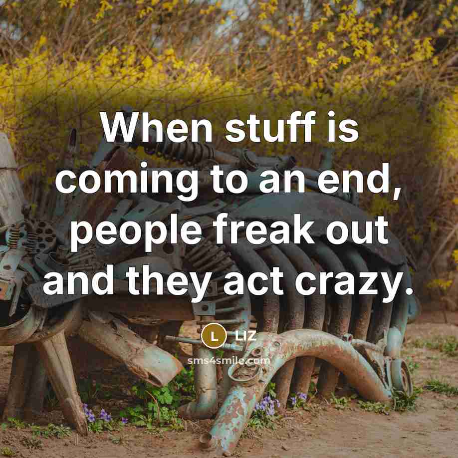 “When stuff is coming to an end, people freak out and they act crazy.” quote by LIZ