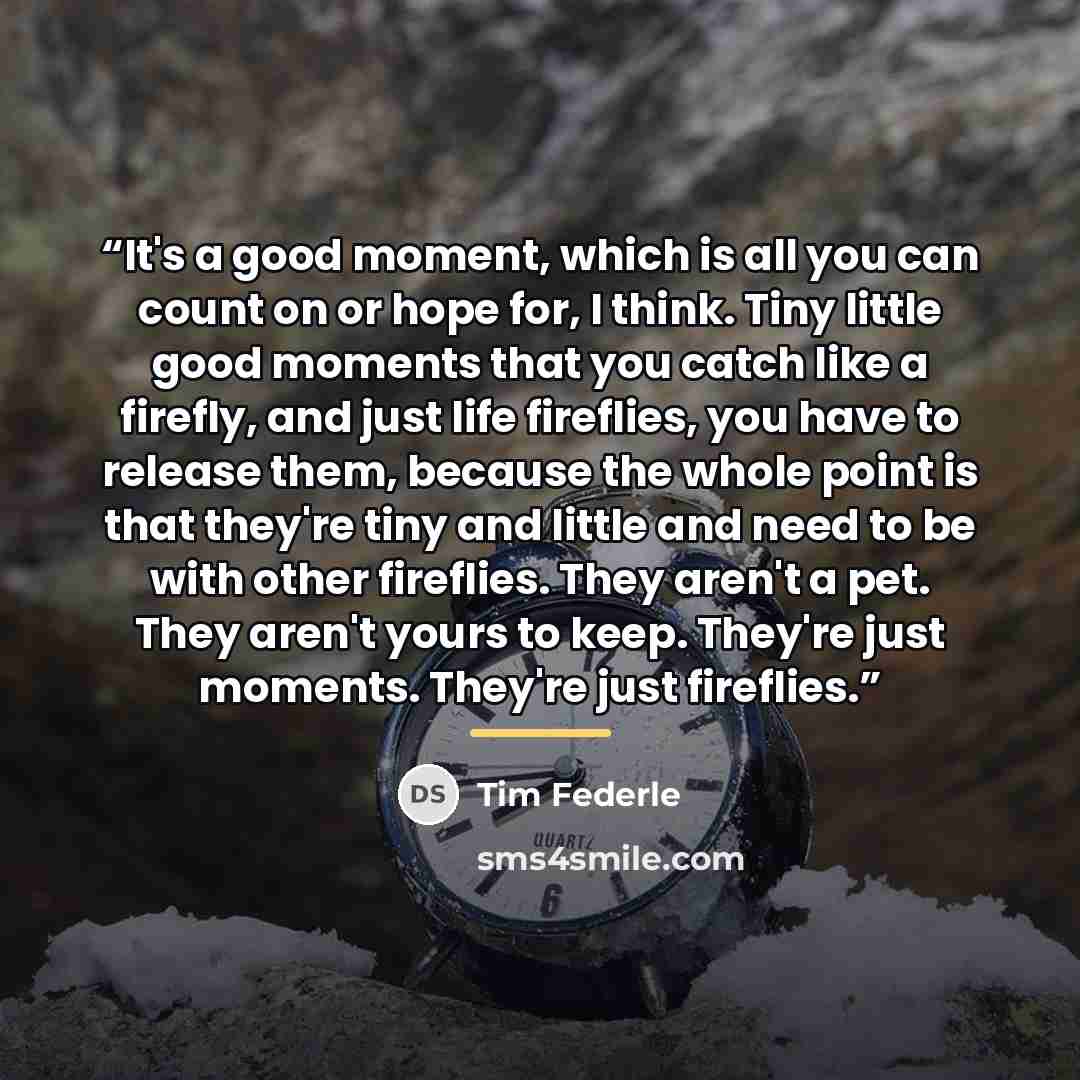 “It's a good moment, which is all you can count on or hope for, I think. Tiny little good moments that you catch like a firefly, and just life fireflies, you have to release them, because the whole point is that they're tiny and little and need to be with other fireflies. They aren't a pet. They…” quote by Tim Federle