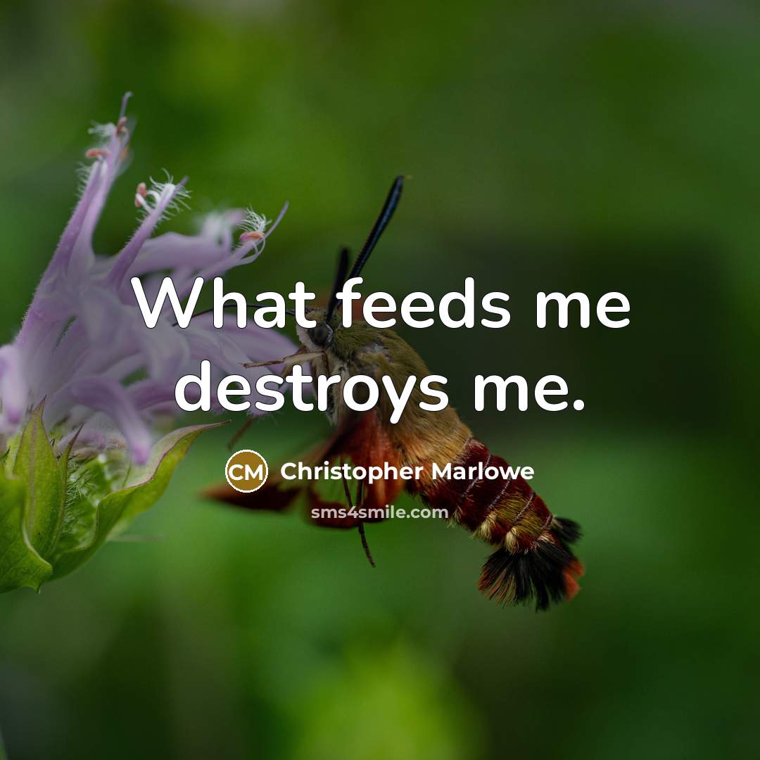 “What feeds me destroys me.” quote by Christopher Marlowe