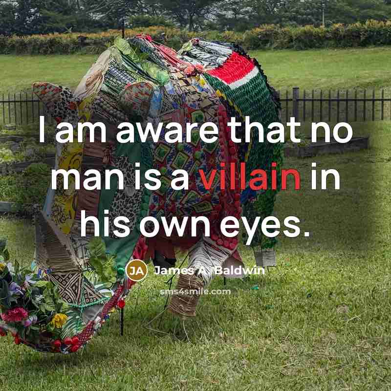 “I am aware that no man is a villain in his own eyes.” quote by James A. Baldwin