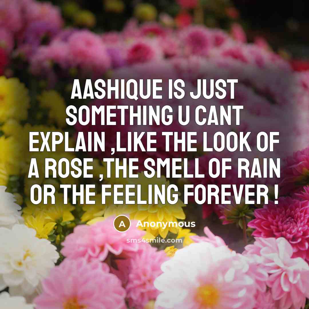 “Aashique is just something u cant explain ,like the look of a rose ,the smell of rain or the feeling forever !” quote by Anonymous