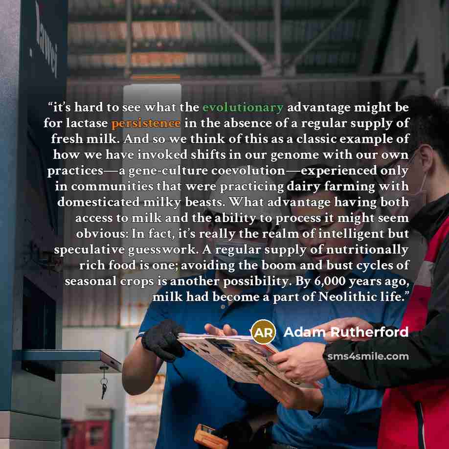 “it’s hard to see what the evolutionary advantage might be for lactase persistence in the absence of a regular supply of fresh milk. And so we think of this as a classic example of how we have invoked shifts in our genome with our own practices—a gene-culture coevolution—experienced only in…” quote by Adam Rutherford