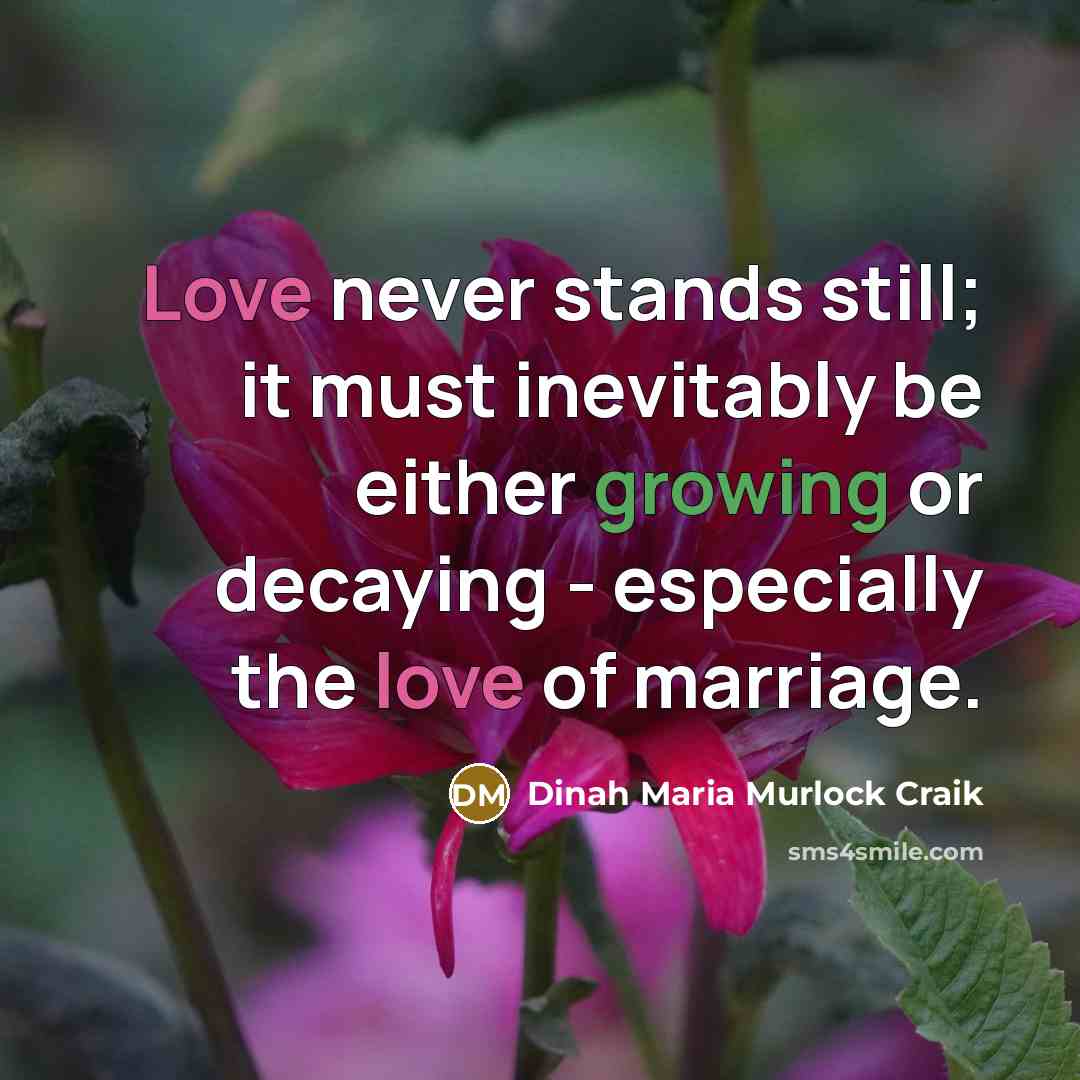 “Love never stands still; it must inevitably be either growing or decaying - especially the love of marriage.” quote by Dinah Maria Murlock Craik