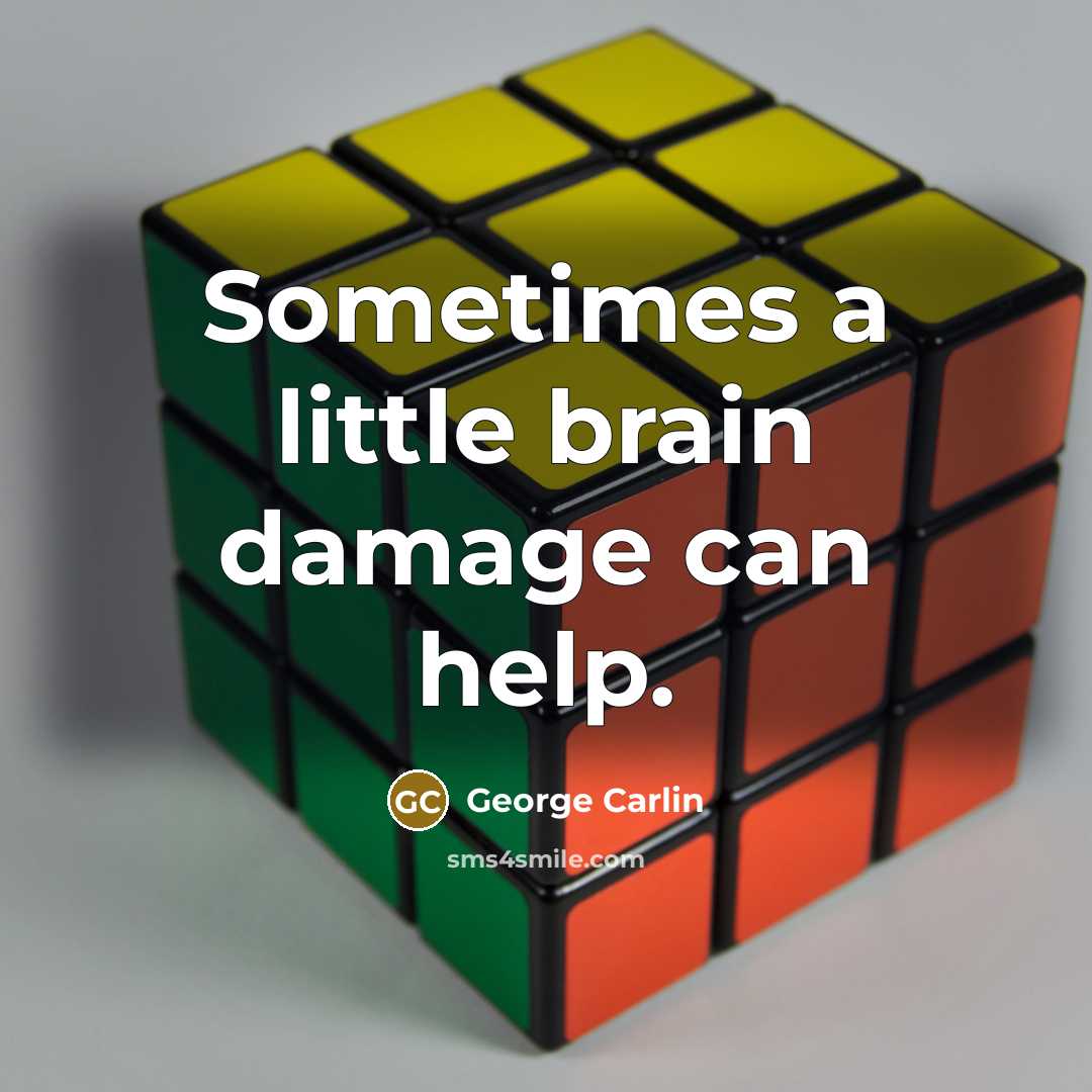 “Sometimes a little brain damage can help.” quote by George Carlin