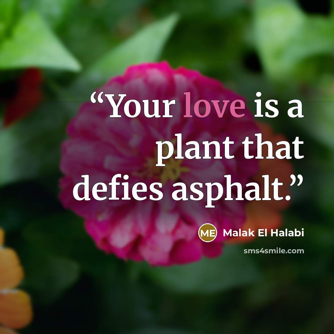 “Your love is a plant that defies asphalt.” quote by Malak El Halabi