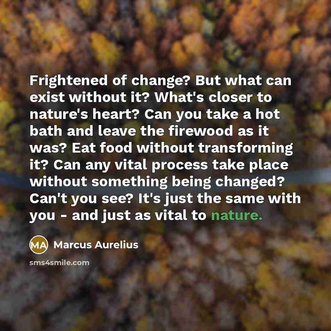 “Frightened of change? But what can exist without it? What's closer to nature's heart? Can you take a hot bath and leave the firewood as it was? Eat food without transforming it? Can any vital process take place without something being changed? Can't you see? It's just the same with you - and just…” quote by Marcus Aurelius