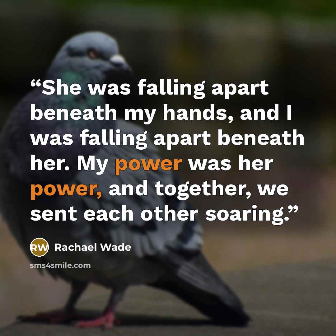 “She was falling apart beneath my hands, and I was falling apart beneath her. My power was her power, and together, we sent each other soaring.” quote by Rachael Wade