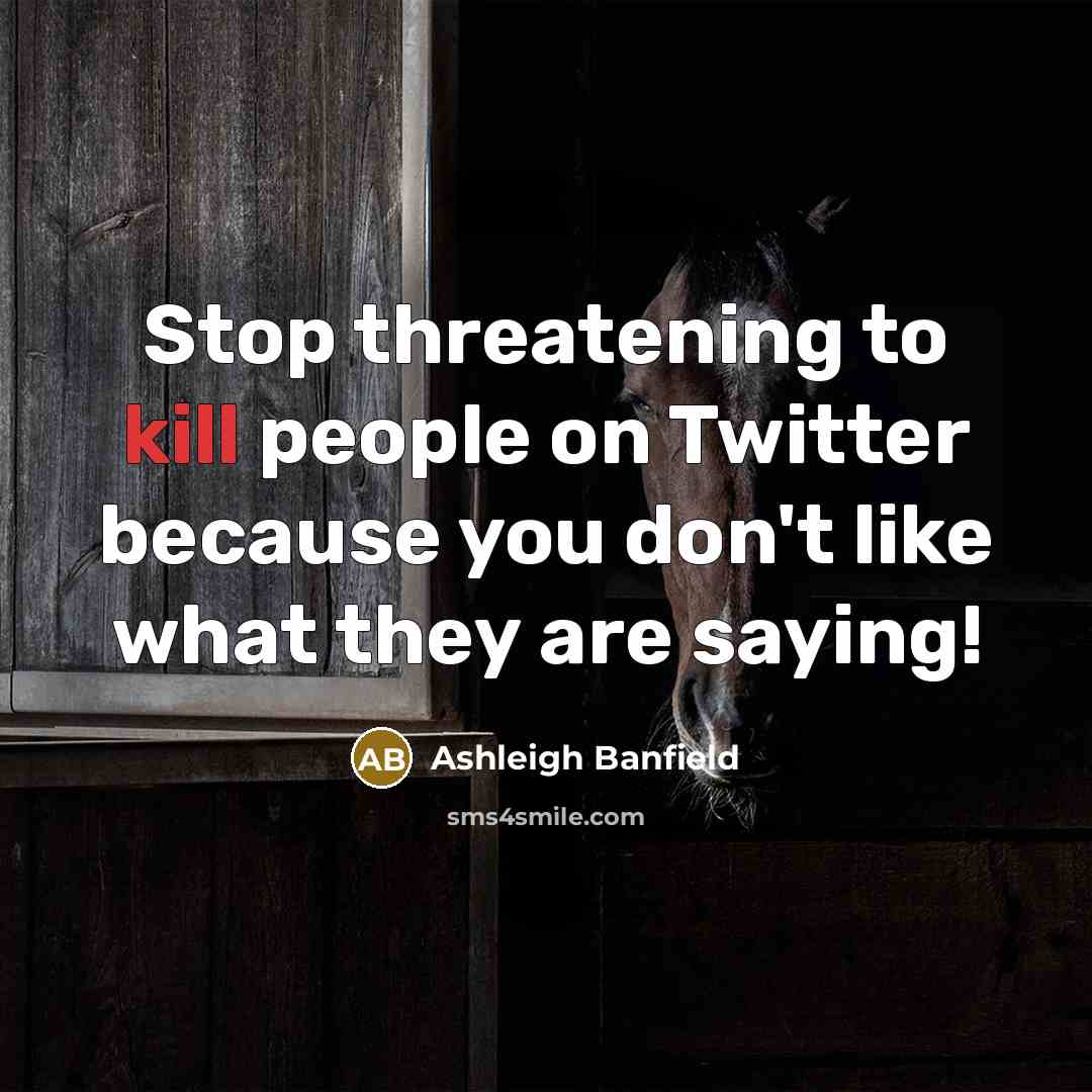 “Stop threatening to kill people on Twitter because you don't like what they are saying!” quote by Ashleigh Banfield