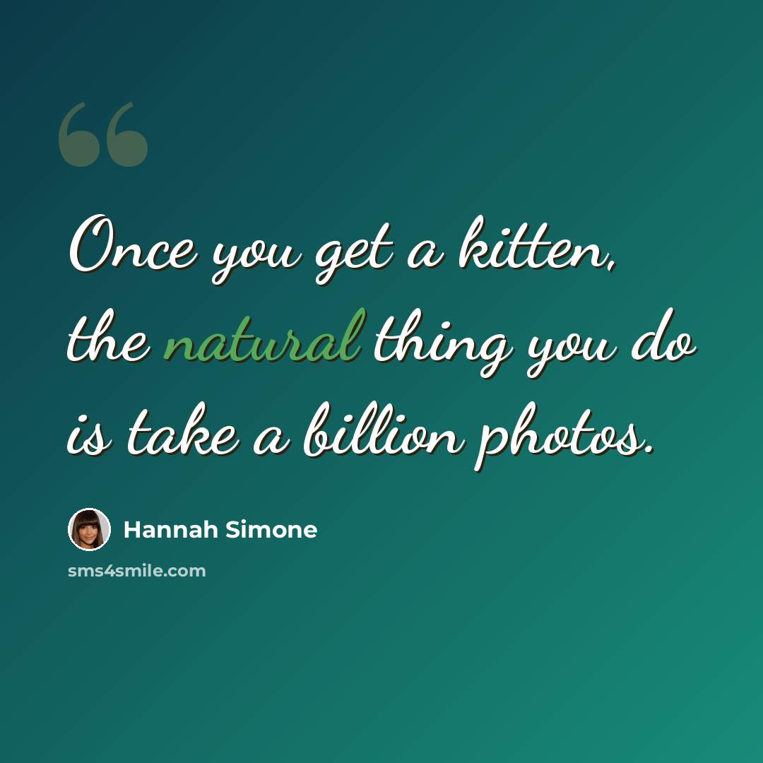 “Once you get a kitten, the natural thing you do is take a billion photos.” quote by Hannah Simone