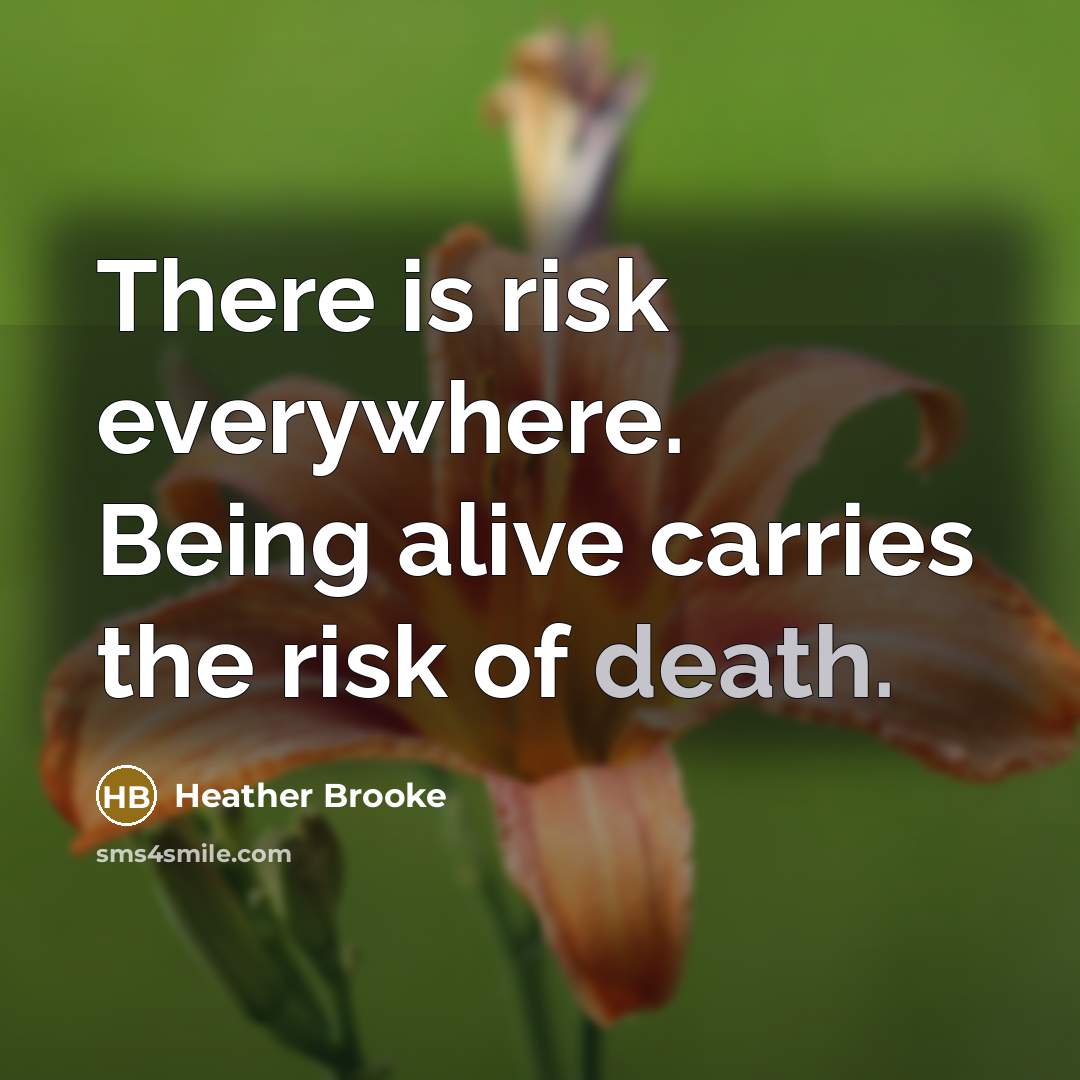 “There is risk everywhere. Being alive carries the risk of death.” quote by Heather Brooke