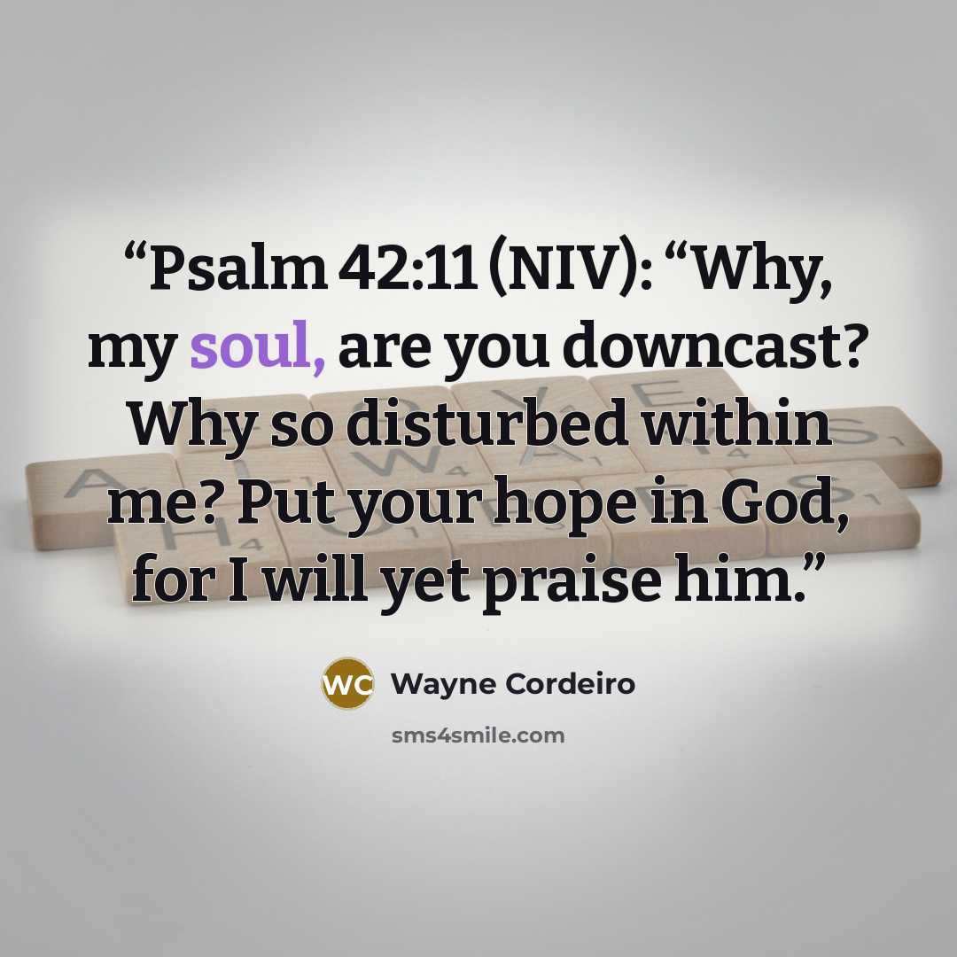 “Psalm 42:11 (NIV): “Why, my soul, are you downcast? Why so disturbed within me? Put your hope in God, for I will yet praise him.” quote by Wayne Cordeiro