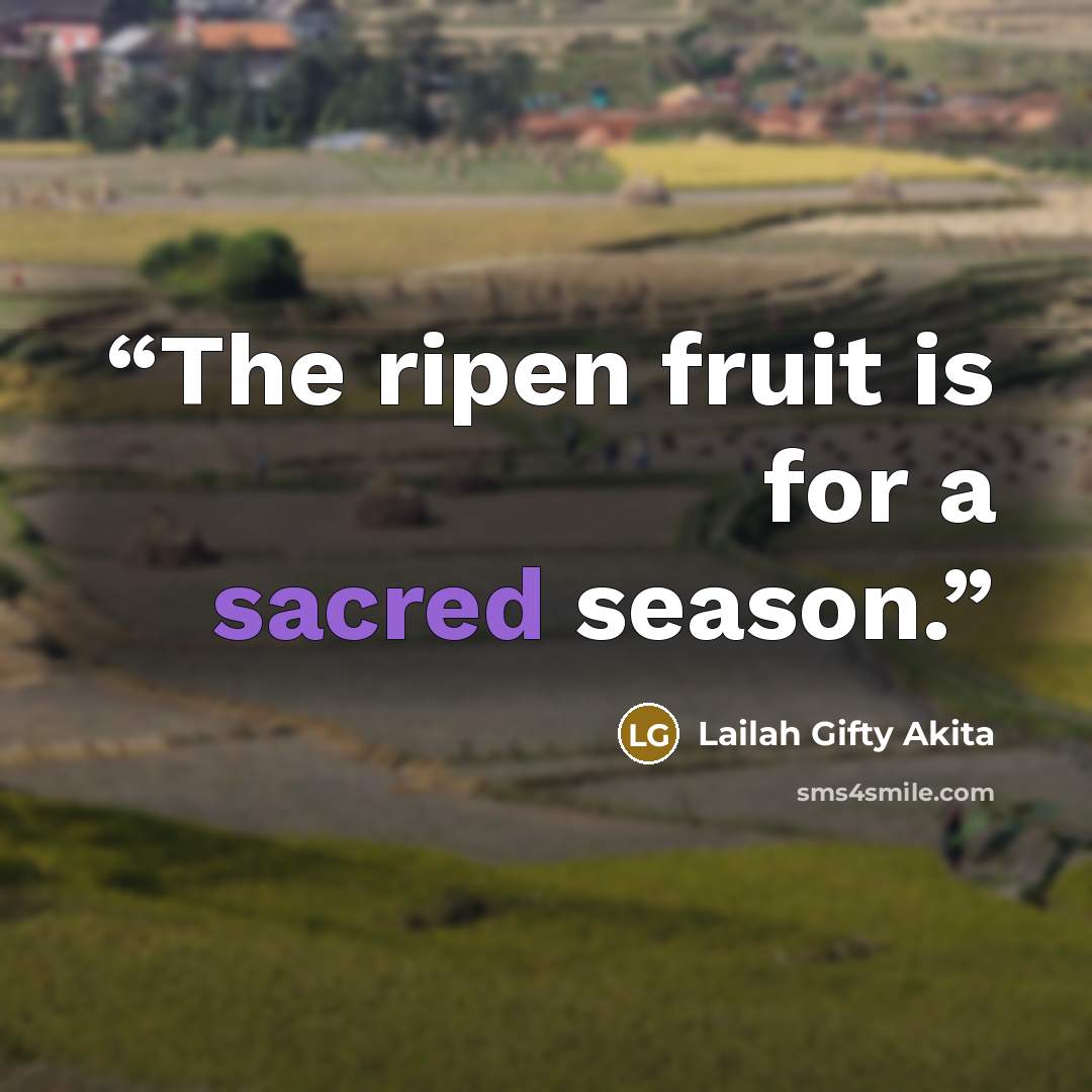 “The ripen fruit is for a sacred season.” quote by Lailah Gifty Akita