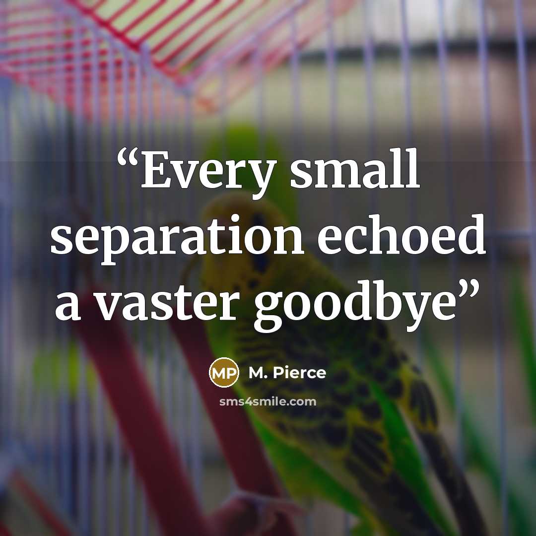 “Every small separation echoed a vaster goodbye” quote by M. Pierce