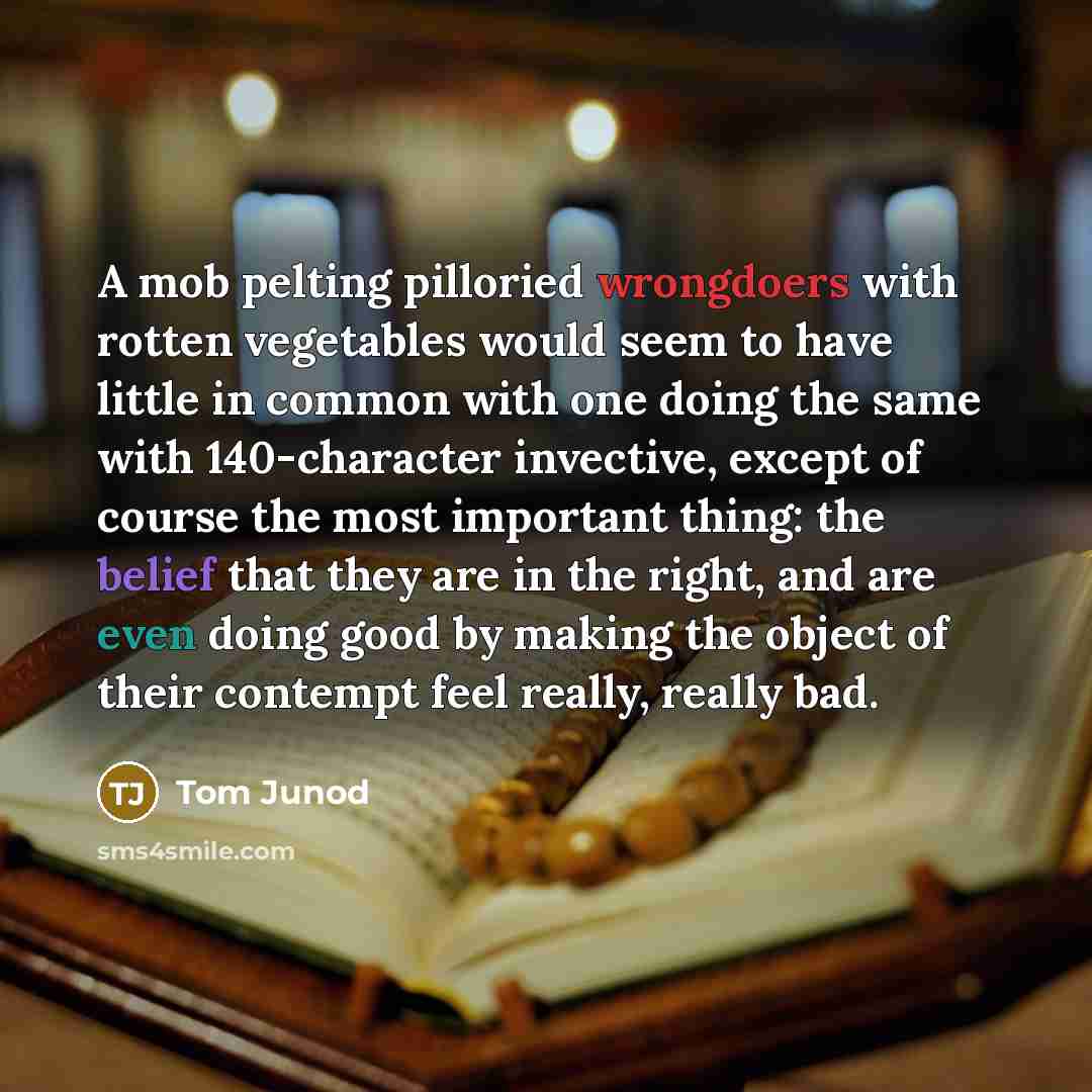 “A mob pelting pilloried wrongdoers with rotten vegetables would seem to have little in common with one doing the same with 140-character invective, except of course the most important thing: the belief that they are in the right, and are even doing good by making the object of their contempt feel…” quote by Tom Junod