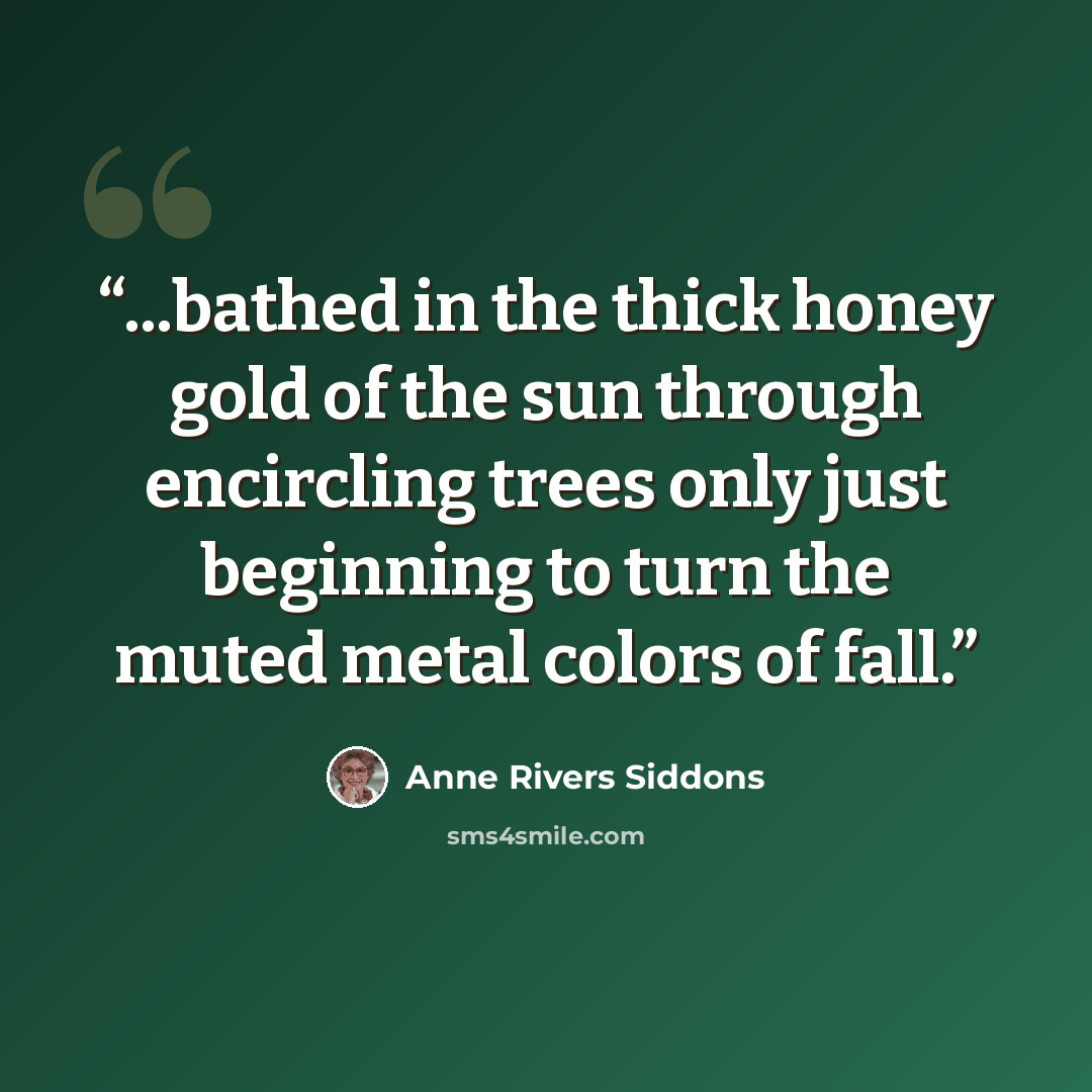 “...bathed in the thick honey gold of the sun through encircling trees only just beginning to turn the muted metal colors of fall.” quote by Anne Rivers Siddons