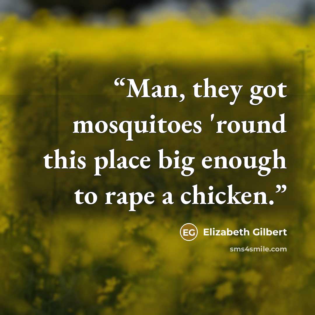 “Man, they got mosquitoes 'round this place big enough to rape a chicken.” quote by Elizabeth Gilbert