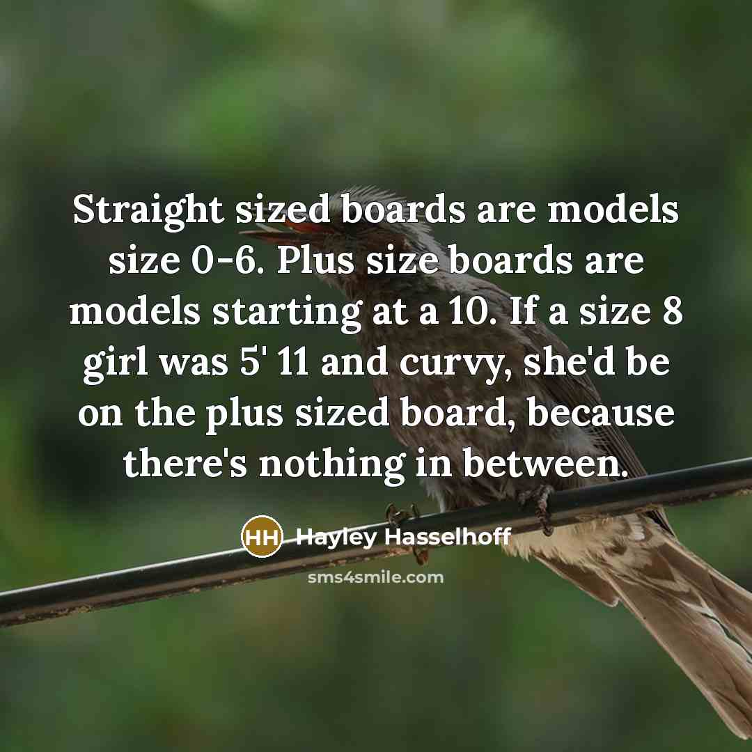 “Straight sized boards are models size 0-6. Plus size boards are models starting at a 10. If a size 8 girl was 5' 11 and curvy, she'd be on the plus sized board, because there's nothing in between.” quote by Hayley Hasselhoff