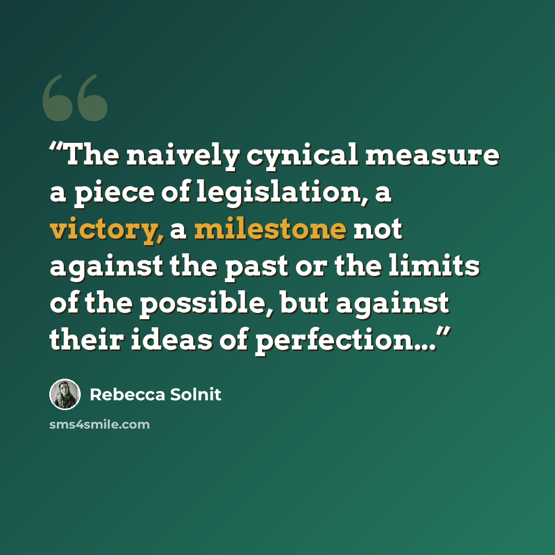 “The naively cynical measure a piece of legislation, a victory, a milestone not against the past or the limits of the possible, but against their ideas of perfection...” quote by Rebecca Solnit