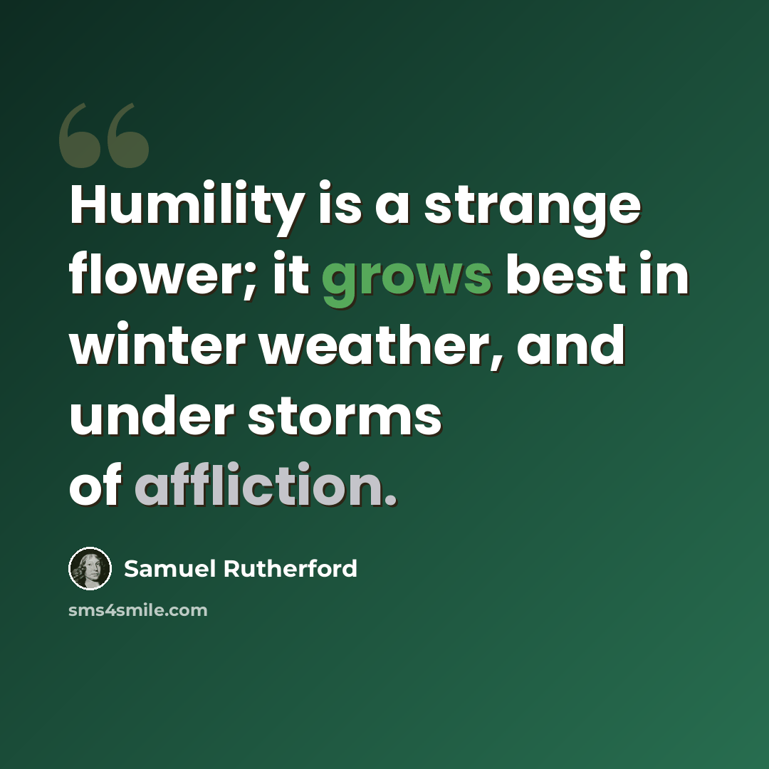 “Humility is a strange flower; it grows best in winter weather, and under storms of affliction.” quote by Samuel Rutherford