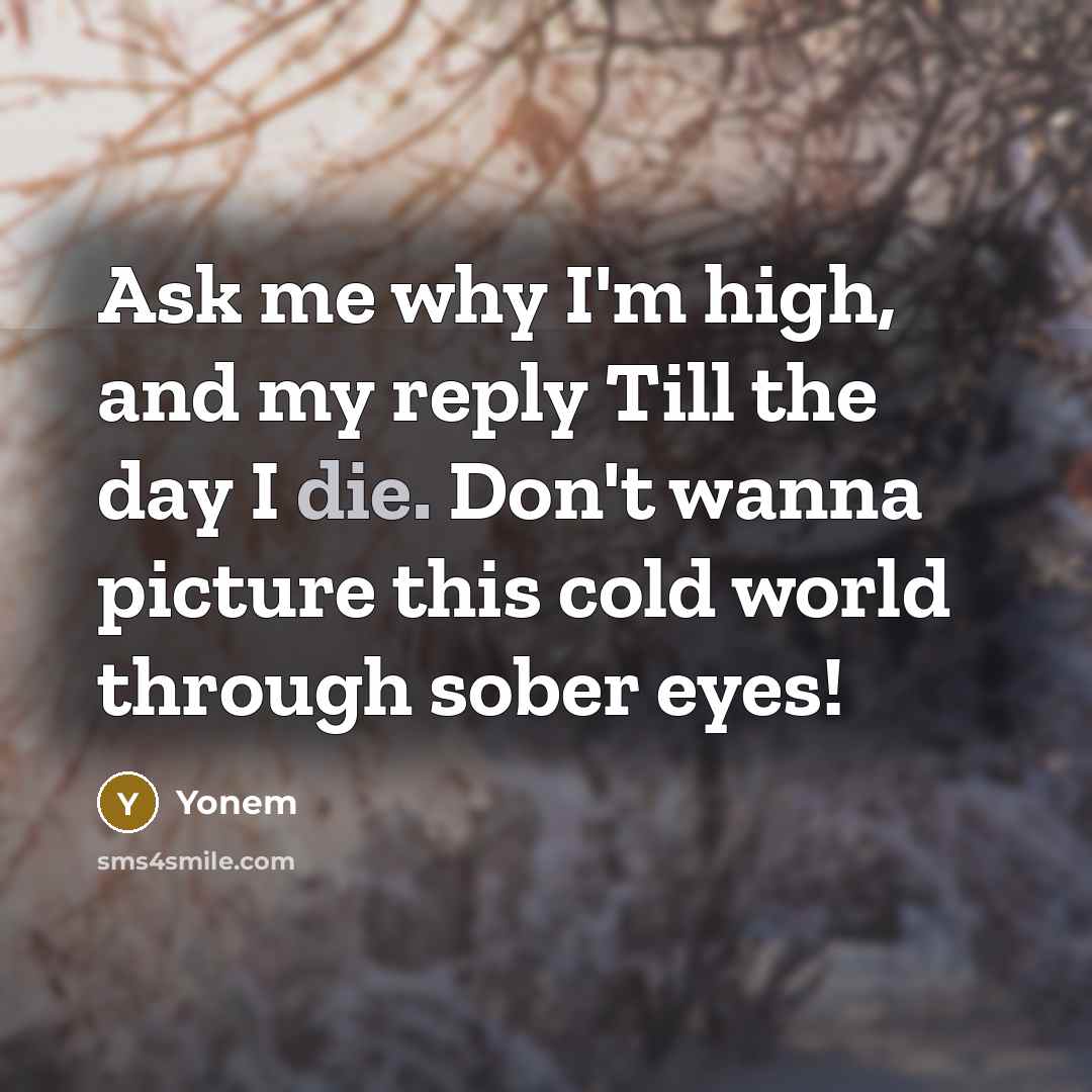 “Ask me why I'm high, and my reply Till the day I die. Don't wanna picture this cold world through sober eyes!” quote by Yonem