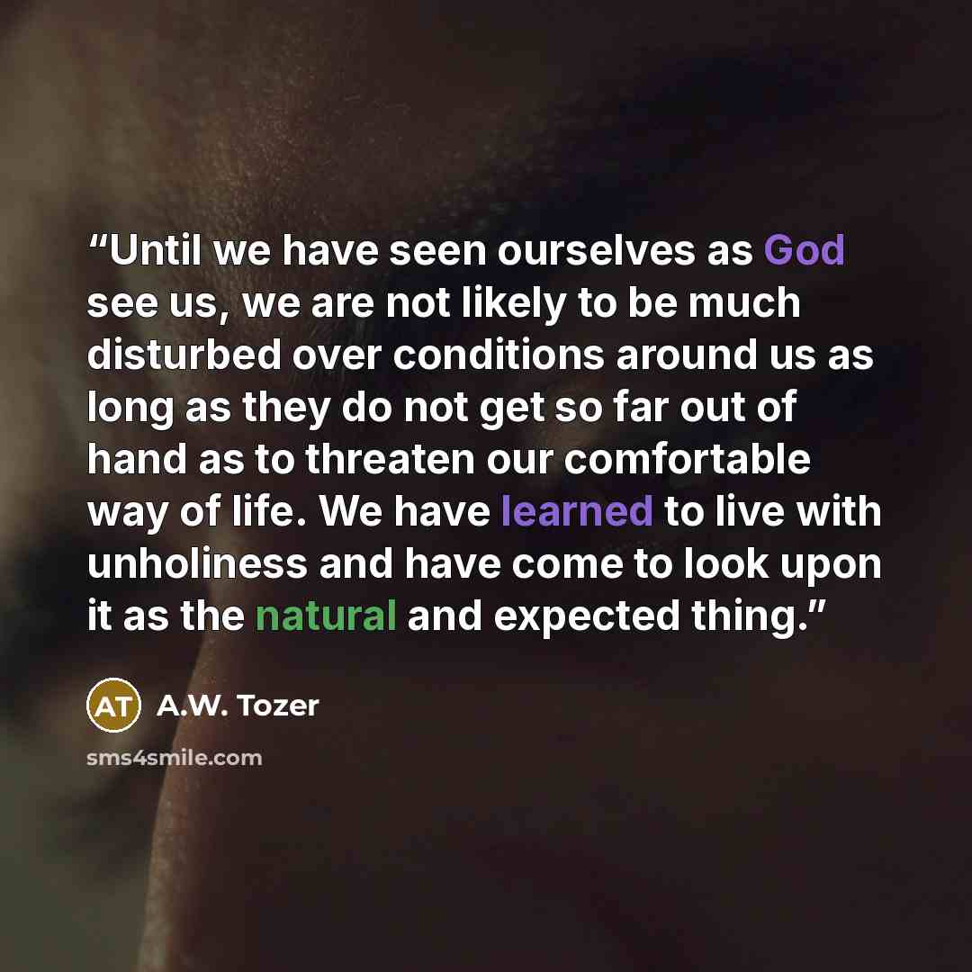 “Until we have seen ourselves as God see us, we are not likely to be much disturbed over conditions around us as long as they do not get so far out of hand as to threaten our comfortable way of life. We have learned to live with unholiness and have come to look upon it as the natural and expected…” quote by A.W. Tozer