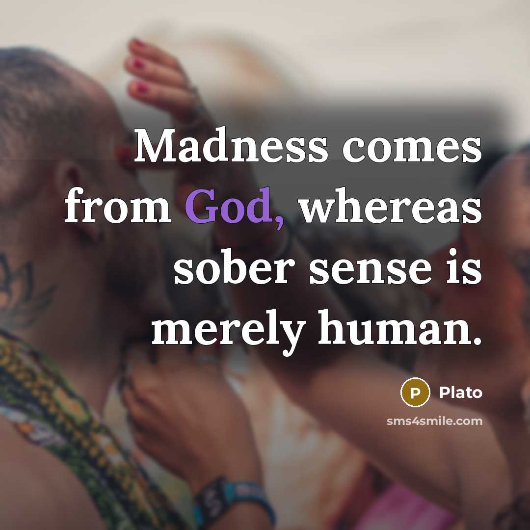 “Madness comes from God, whereas sober sense is merely human.” quote by Plato
