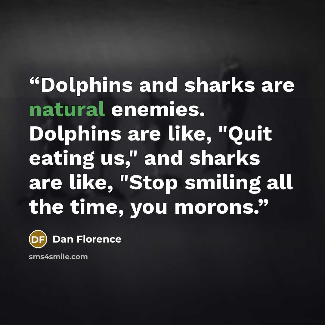 “Dolphins and sharks are natural enemies. Dolphins are like, "Quit eating us," and sharks are like, "Stop smiling all the time, you morons.” quote by Dan Florence