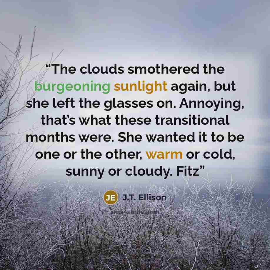 “The clouds smothered the burgeoning sunlight again, but she left the glasses on. Annoying, that’s what these transitional months were. She wanted it to be one or the other, warm or cold, sunny or cloudy. Fitz” quote by J.T. Ellison