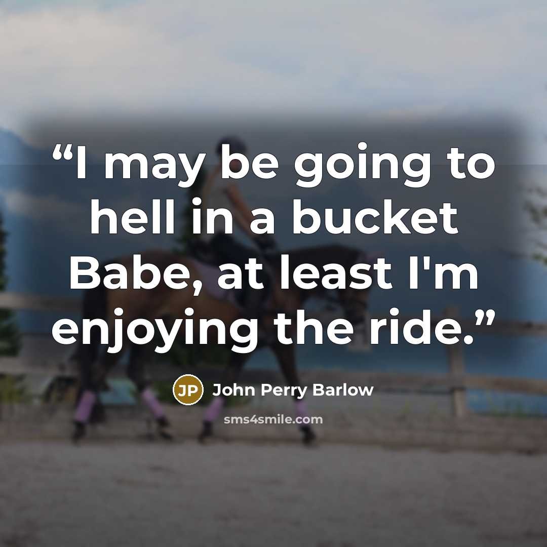 “I may be going to hell in a bucket Babe, at least I'm enjoying the ride.” quote by John Perry Barlow