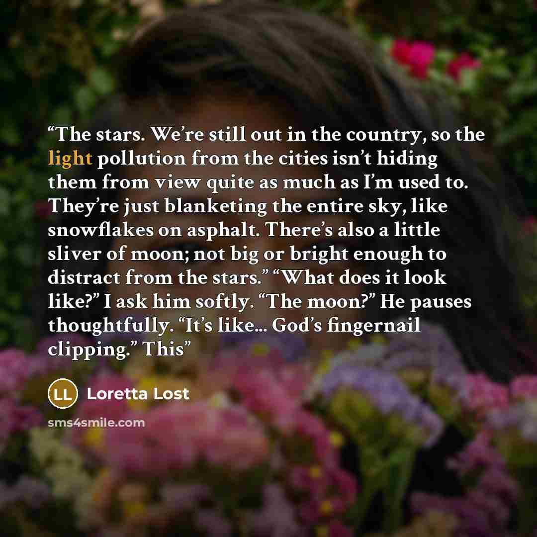 “The stars. We’re still out in the country, so the light pollution from the cities isn’t hiding them from view quite as much as I’m used to. They’re just blanketing the entire sky, like snowflakes on asphalt. There’s also a little sliver of moon; not big or bright enough to distract from the…” quote by Loretta Lost