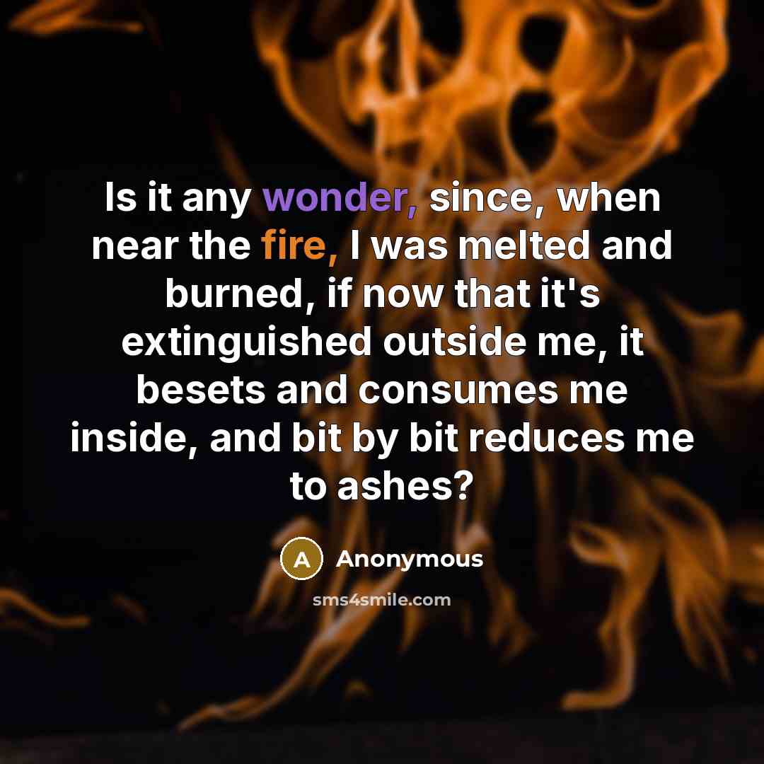 “Is it any wonder, since, when near the fire, I was melted and burned, if now that it's extinguished outside me, it besets and consumes me inside, and bit by bit reduces me to ashes?” quote by Anonymous
