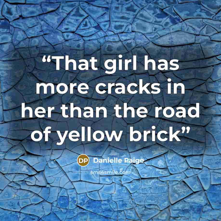 “That girl has more cracks in her than the road of yellow brick” quote by Danielle Paige