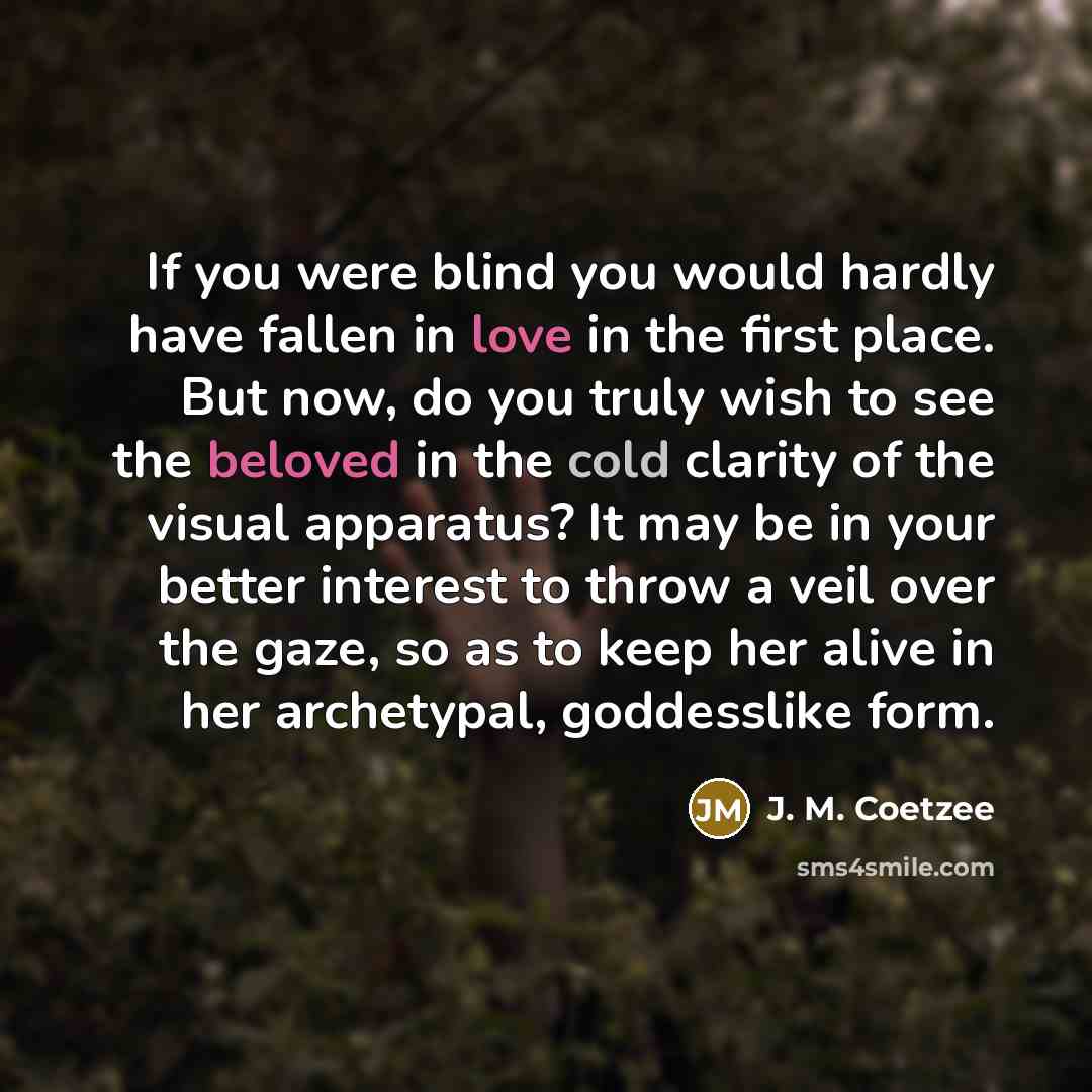 “If you were blind you would hardly have fallen in love in the first place. But now, do you truly wish to see the beloved in the cold clarity of the visual apparatus? It may be in your better interest to throw a veil over the gaze, so as to keep her alive in her archetypal, goddesslike form.” quote by J. M. Coetzee
