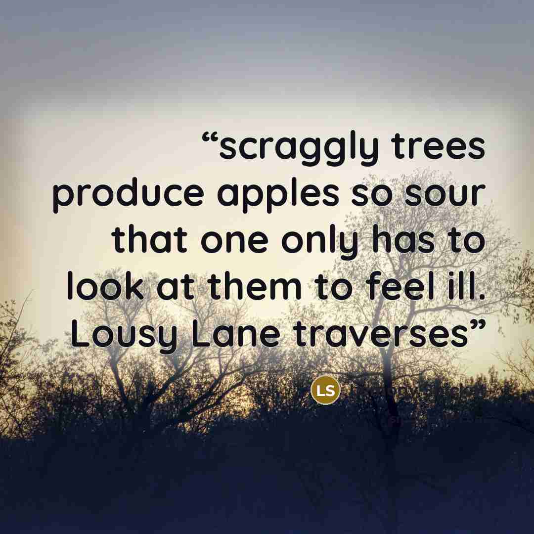 “scraggly trees produce apples so sour that one only has to look at them to feel ill. Lousy Lane traverses” quote by Lemony Snicket