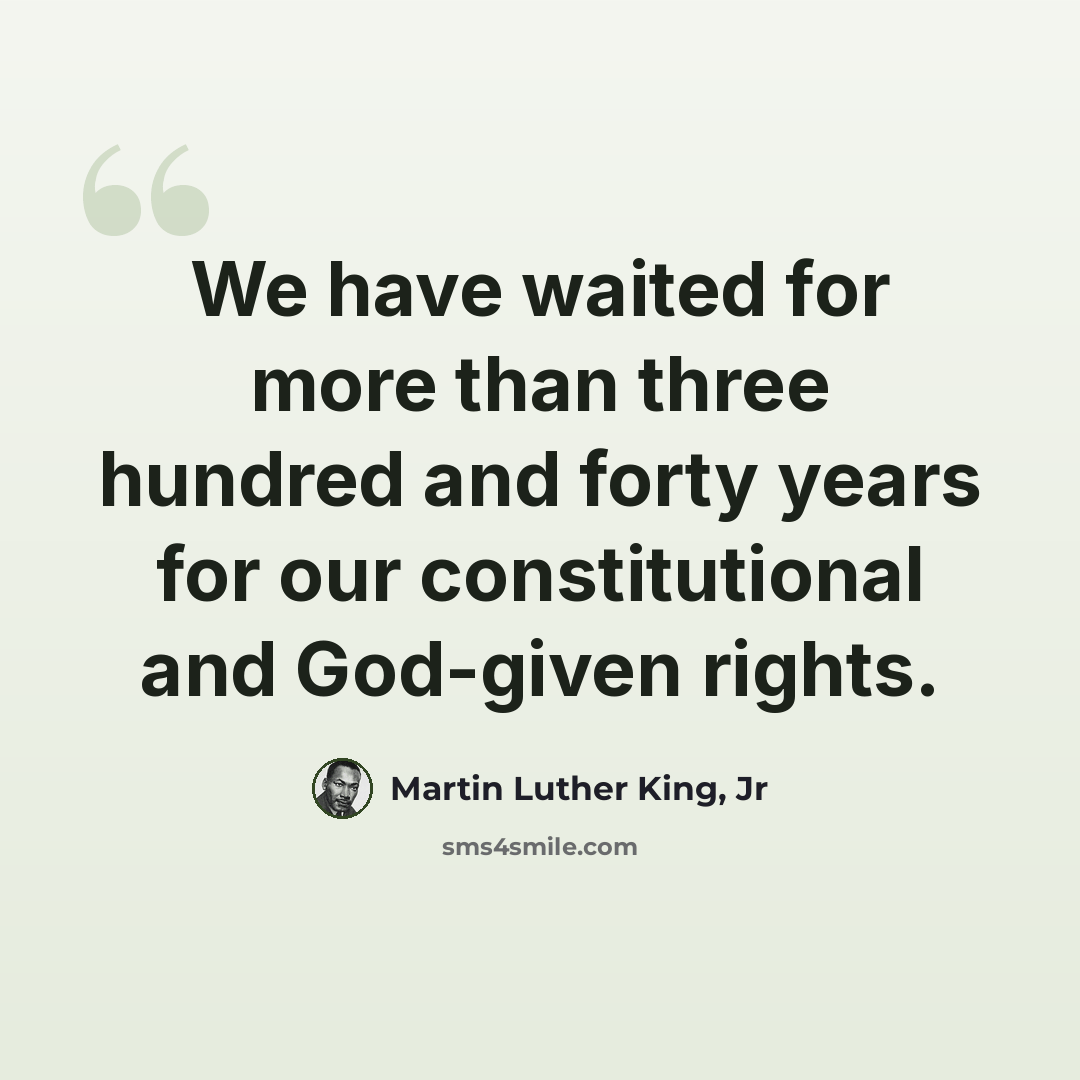 “We have waited for more than three hundred and forty years for our constitutional and God-given rights.” quote by Martin Luther King, Jr