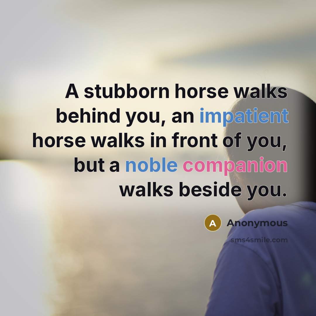 “A stubborn horse walks behind you, an impatient horse walks in front of you, but a noble companion walks beside you.” quote by Anonymous
