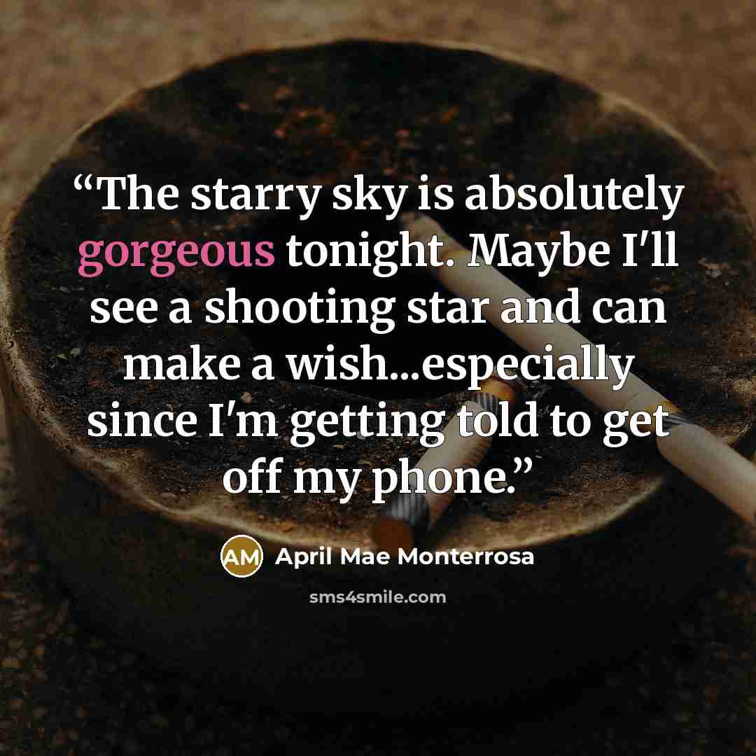“The starry sky is absolutely gorgeous tonight. Maybe I'll see a shooting star and can make a wish...especially since I'm getting told to get off my phone.” quote by April Mae Monterrosa