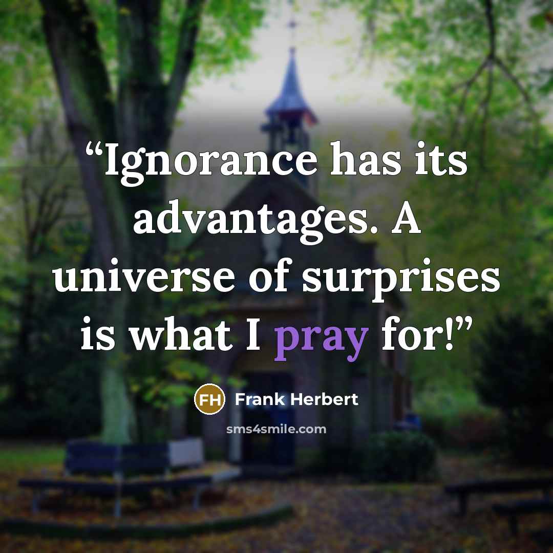 “Ignorance has its advantages. A universe of surprises is what I pray for!” quote by Frank Herbert