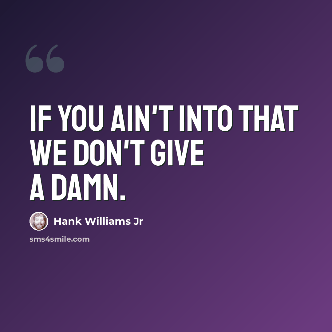 “If you ain't into that we don't give a damn.” quote by Hank Williams Jr