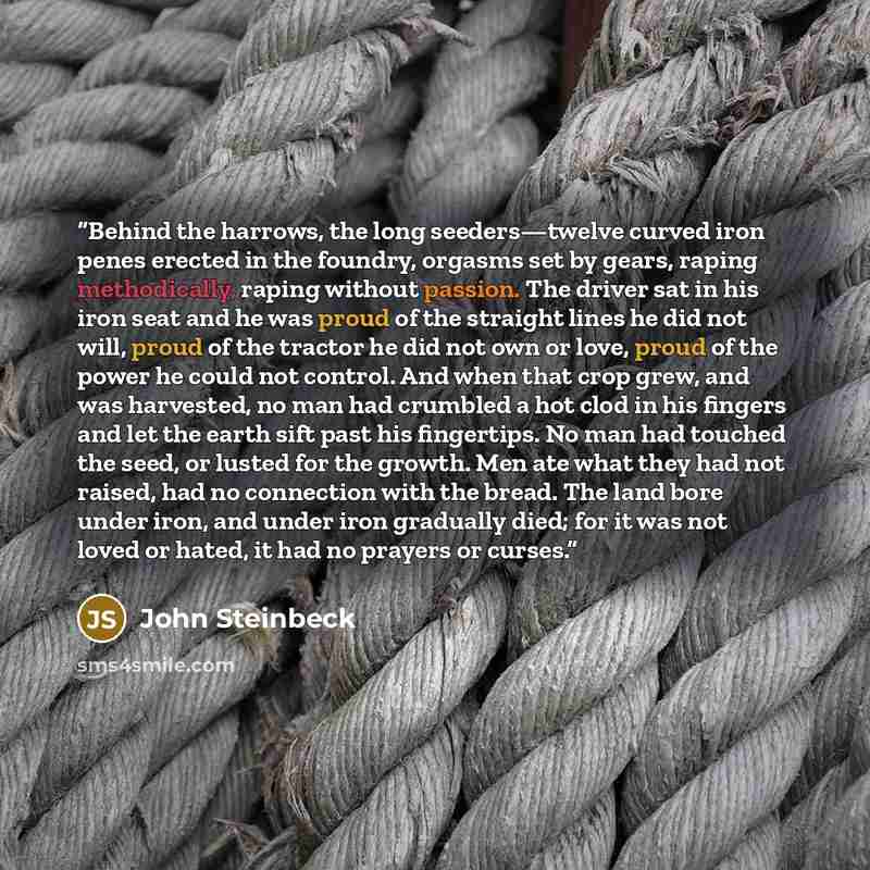 “Behind the harrows, the long seeders—twelve curved iron penes erected in the foundry, orgasms set by gears, raping methodically, raping without passion. The driver sat in his iron seat and he was proud of the straight lines he did not will, proud of the tractor he did not own or love, proud of the…” quote by John Steinbeck