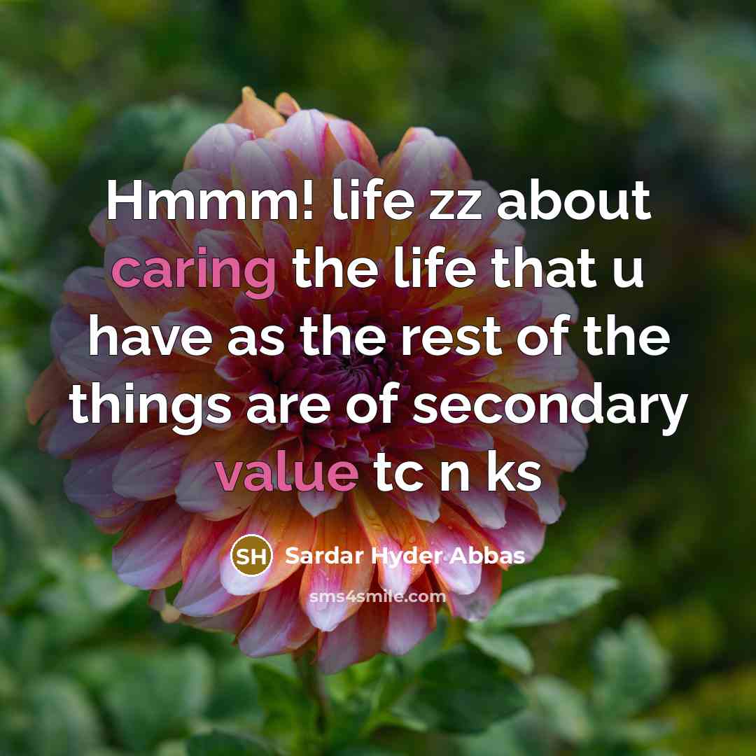 “Hmmm! life zz about caring the life that u have as the rest of the things are of secondary value tc n ks” quote by Sardar Hyder Abbas