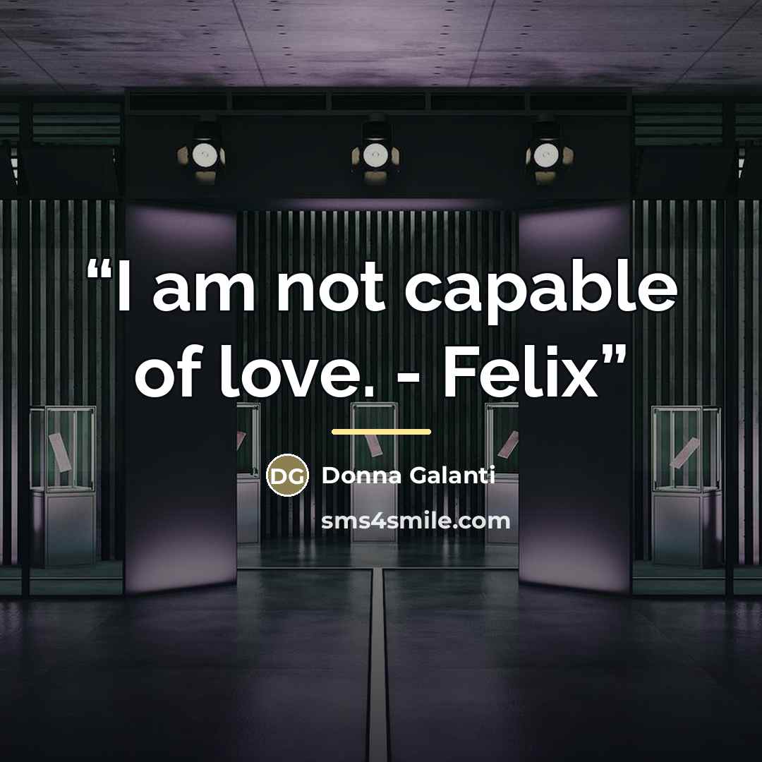 “I am not capable of love. - Felix” quote by Donna Galanti