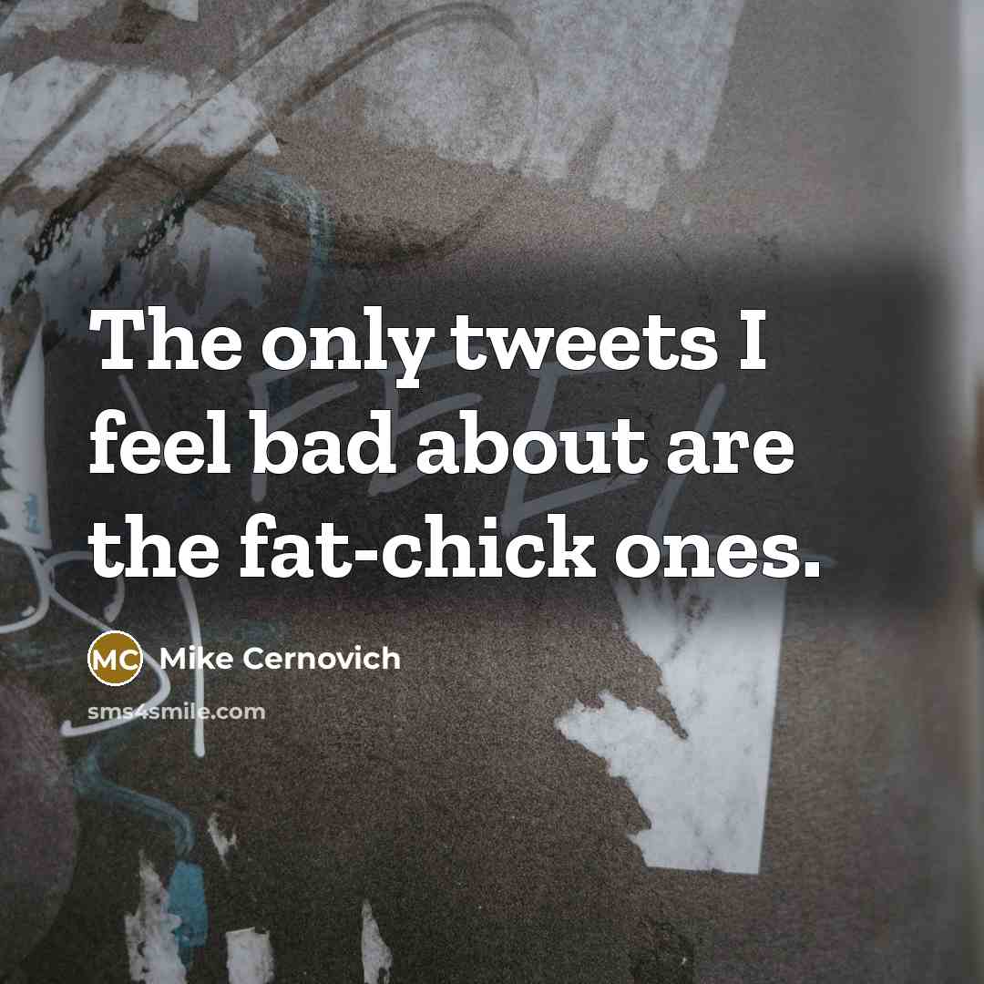 “The only tweets I feel bad about are the fat-chick ones.” quote by Mike Cernovich
