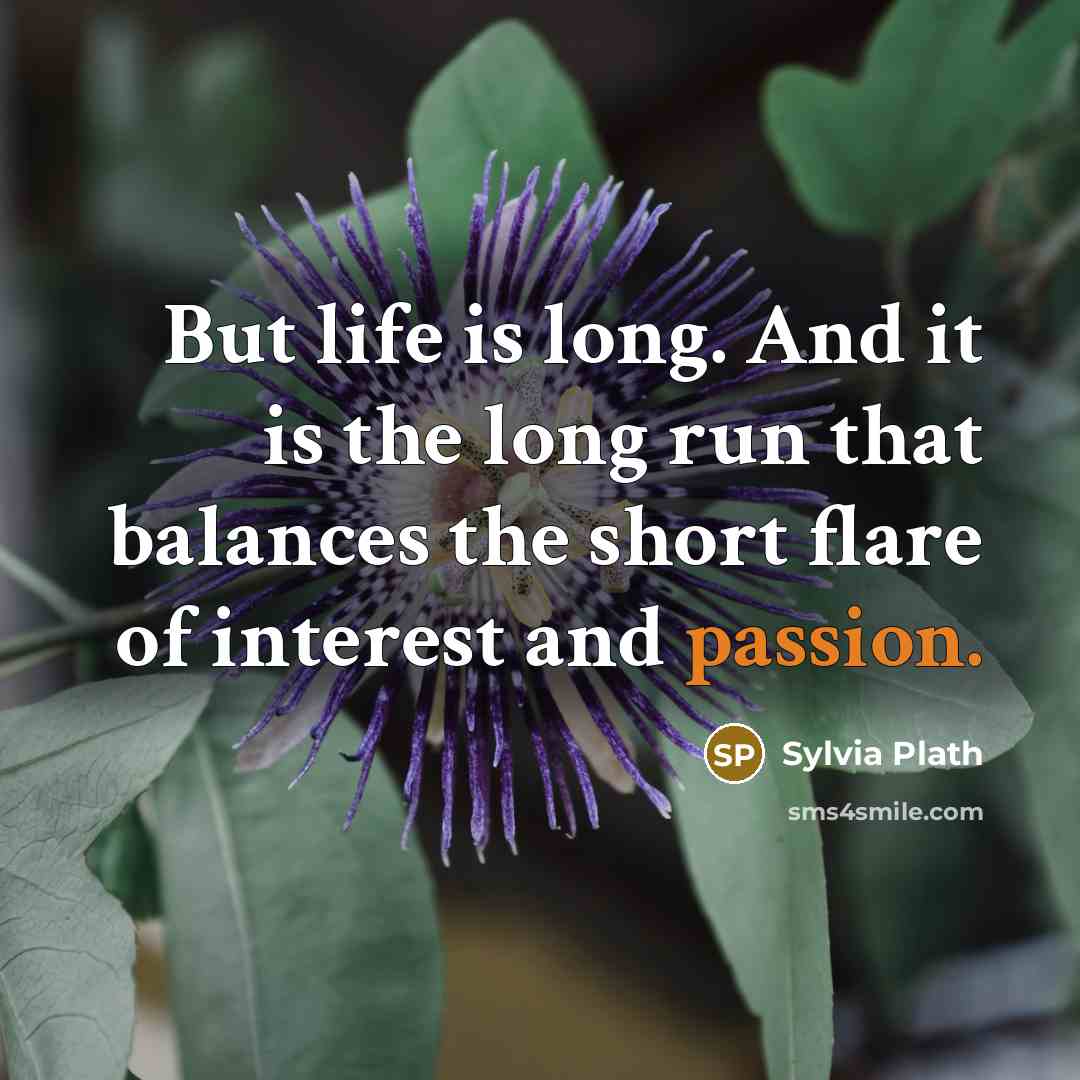 “But life is long. And it is the long run that balances the short flare of interest and passion.” quote by Sylvia Plath