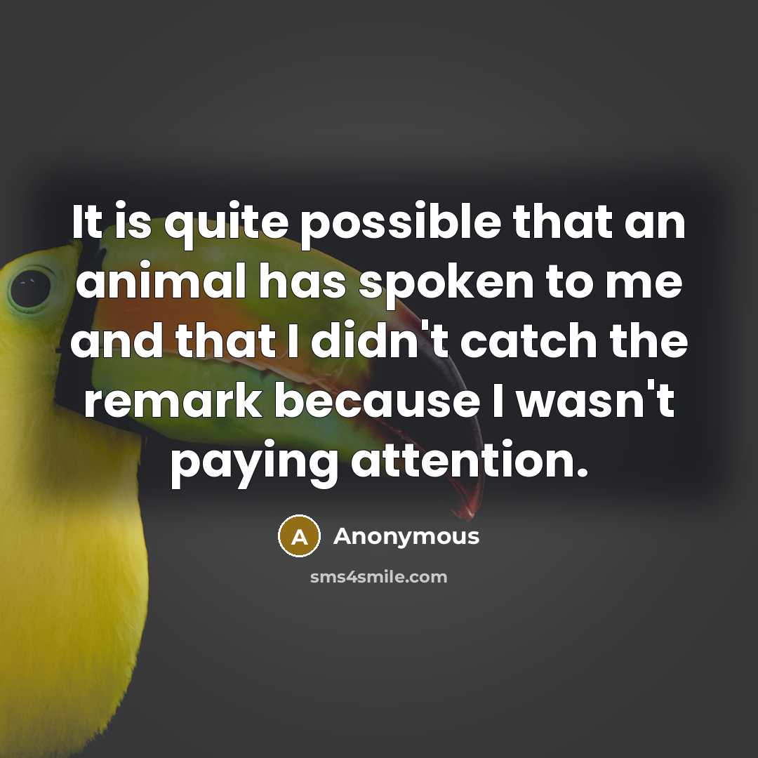 “It is quite possible that an animal has spoken to me and that I didn't catch the remark because I wasn't paying attention.” quote by Anonymous